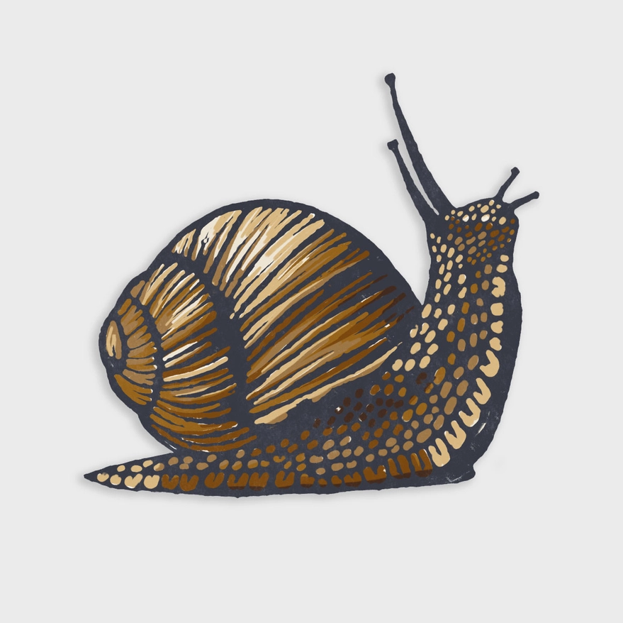 STICKER - SNAIL