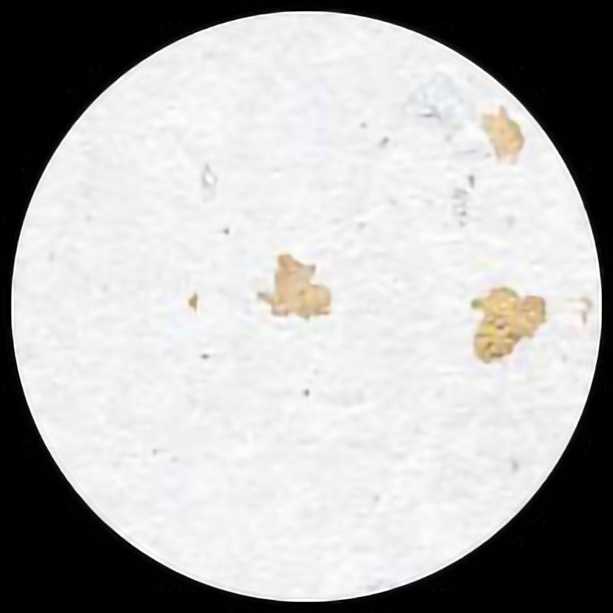 UNRYU WHITE - GOLD/ SILVER FLAKES