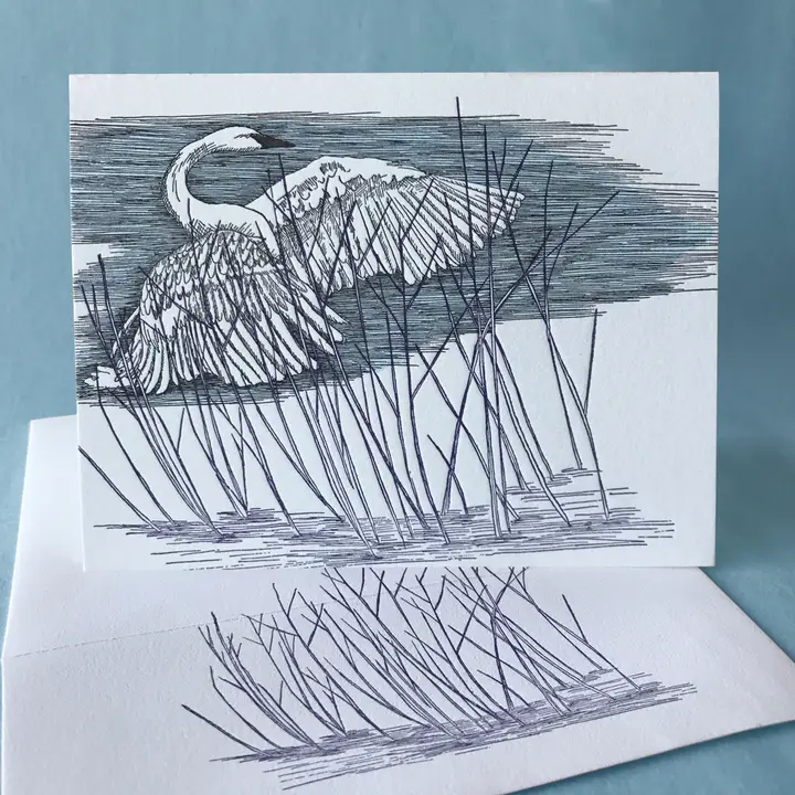 PAINTED TONGUE PRESS CARD - REED