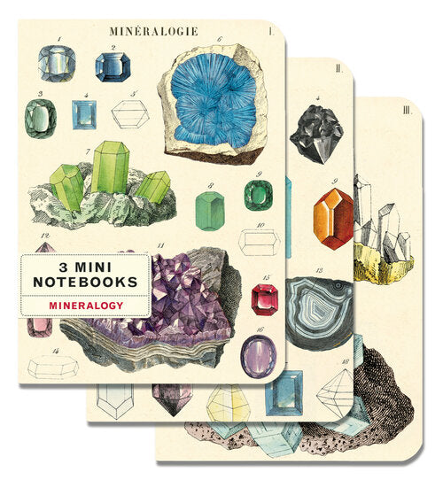 MINI NOTEBOOKS MINERALOGY SET/3