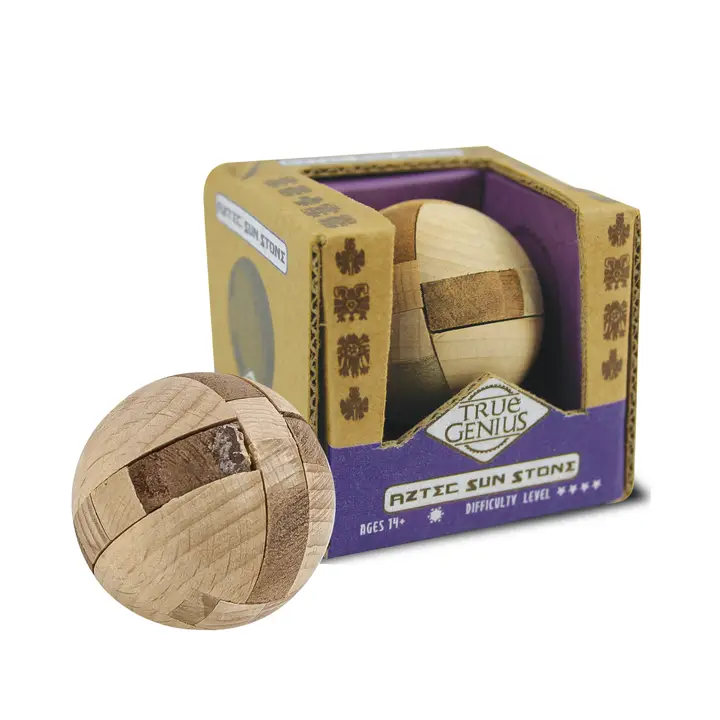 TRUE GENIUS PUZZLE -  (MEDIUM)