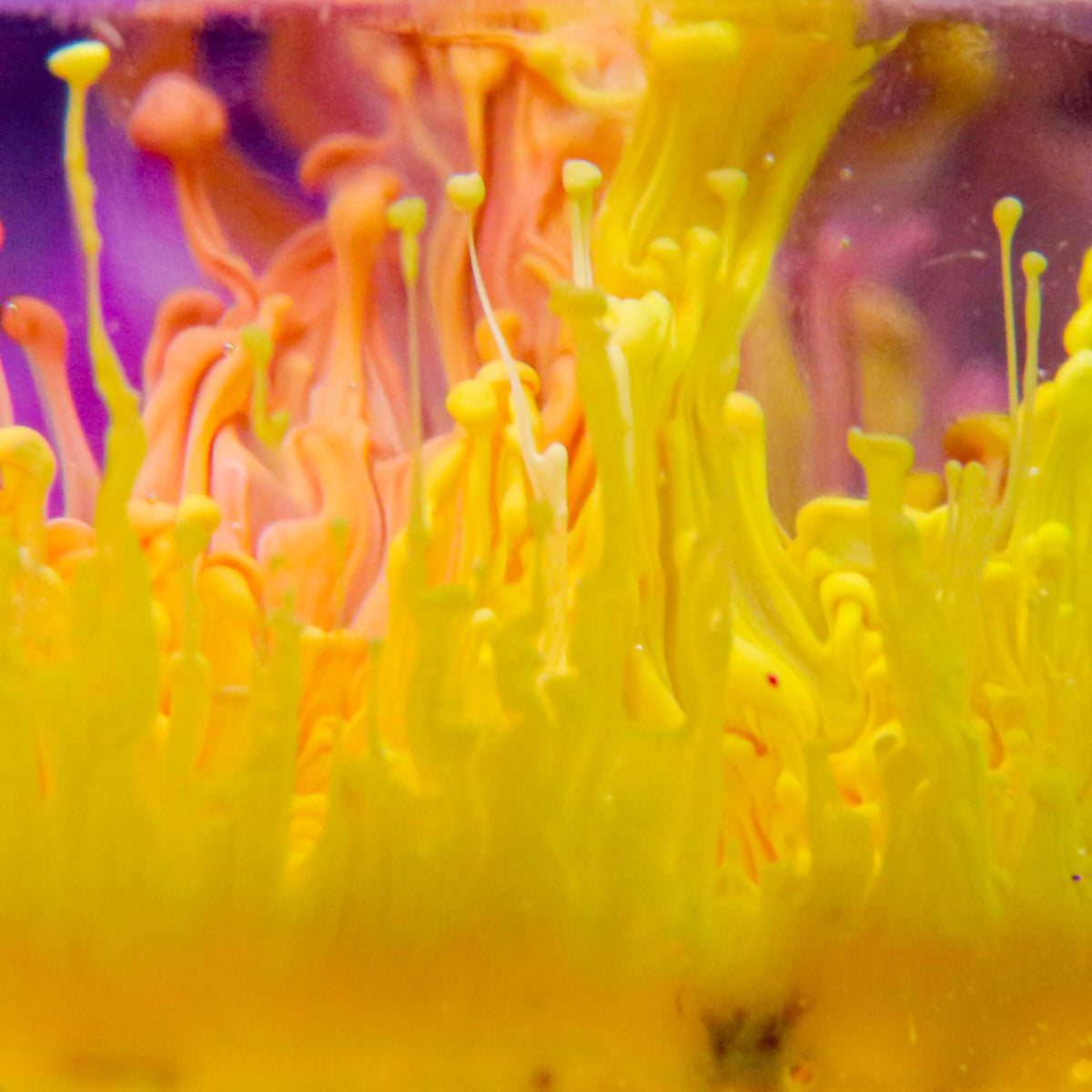 ART RESIN ALCOHOL INK SINKER 4oz