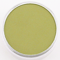 PANPASTEL ARTIST PASTEL  BRIGHT YELLOW GREEN SHADE