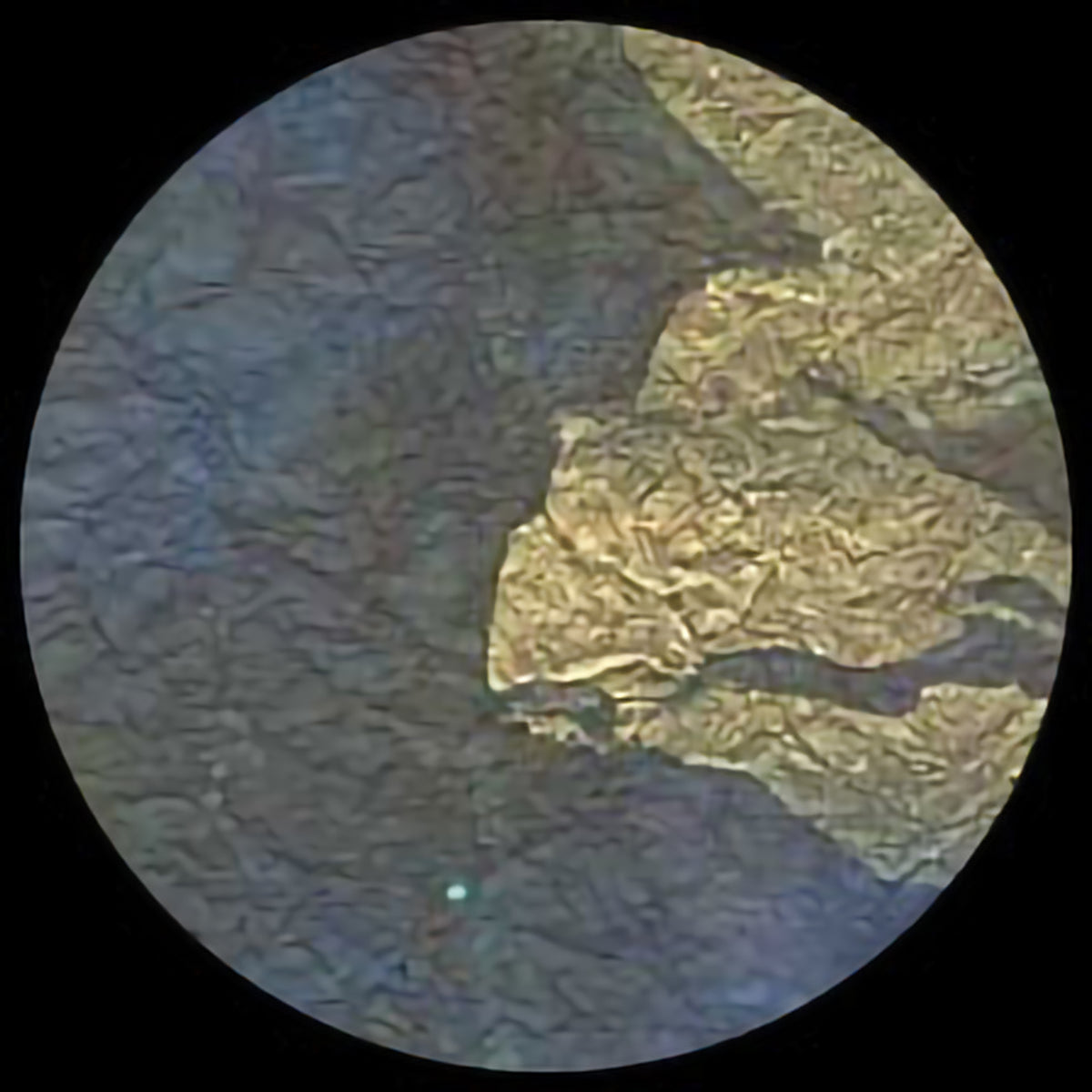 MARBLED MOMI - EARTHQUAKE