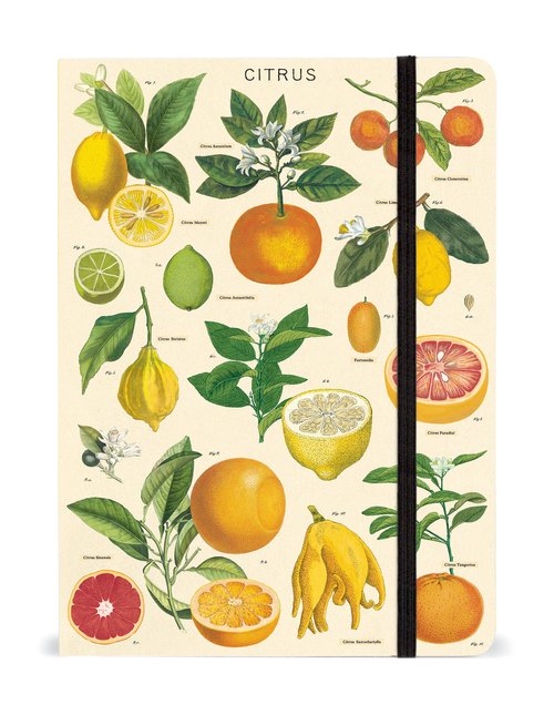 LARGE NOTEBOOK CITRUS