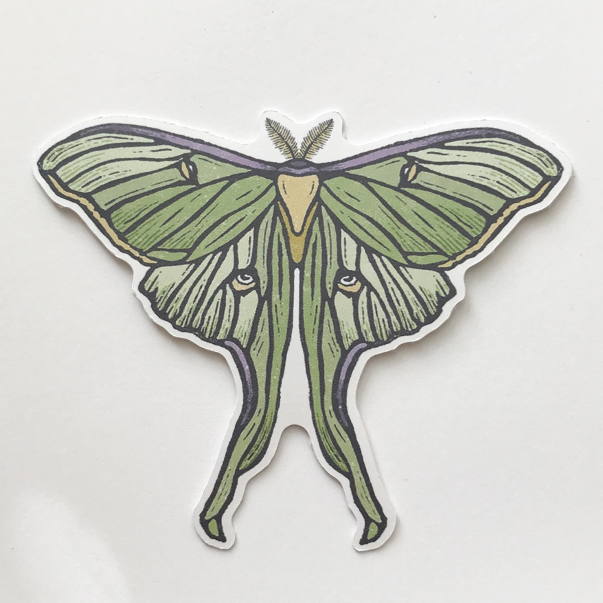 STICKER - LUNA MOTH