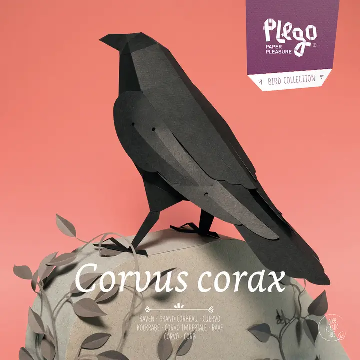 CORVUS CORAX PAPER FIGURE