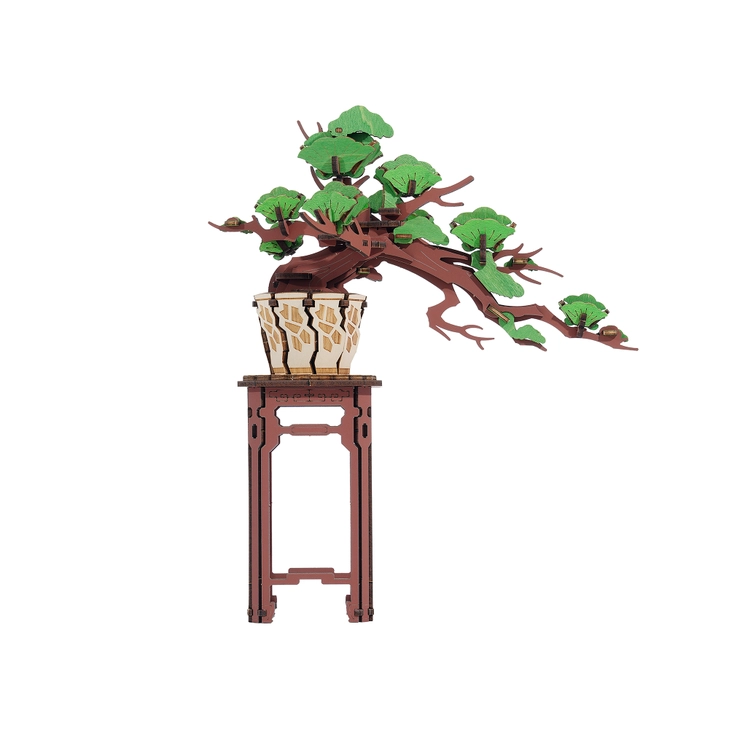 MODERN WOODEN PUZZLE EVERGREEN PINE BONSAI