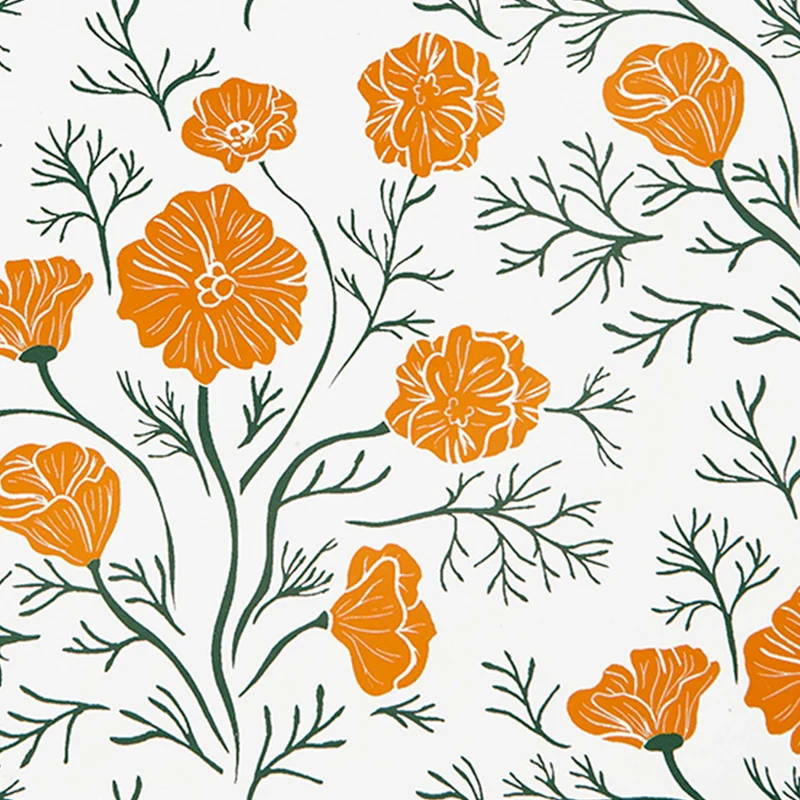 DECOMPOSITION BOOK TOPBOUND SPIRAL CALIFORNIA POPPIES