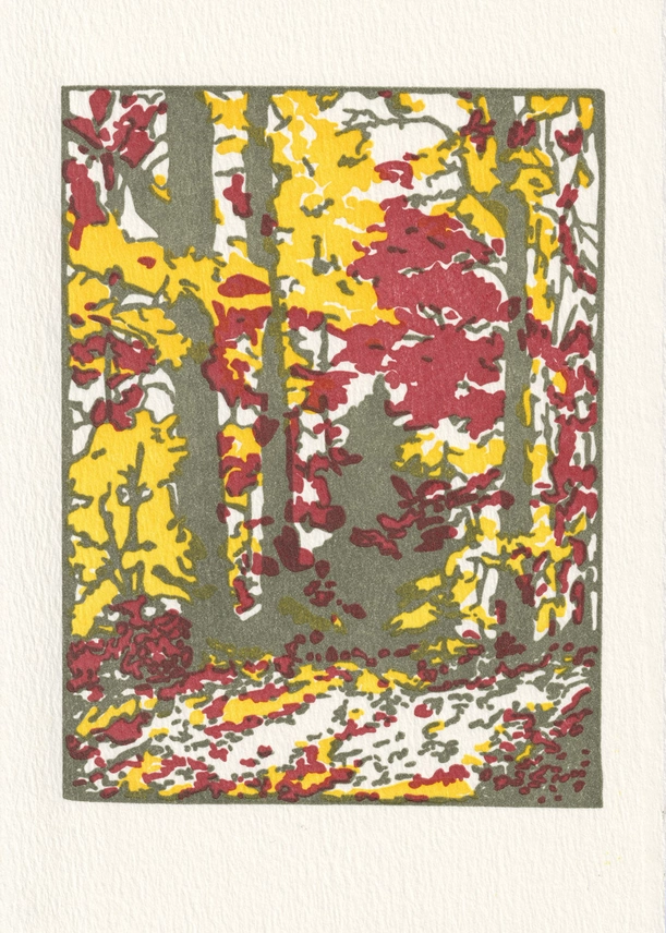 SATURN PRESS CARD - AUTUMN ROAD