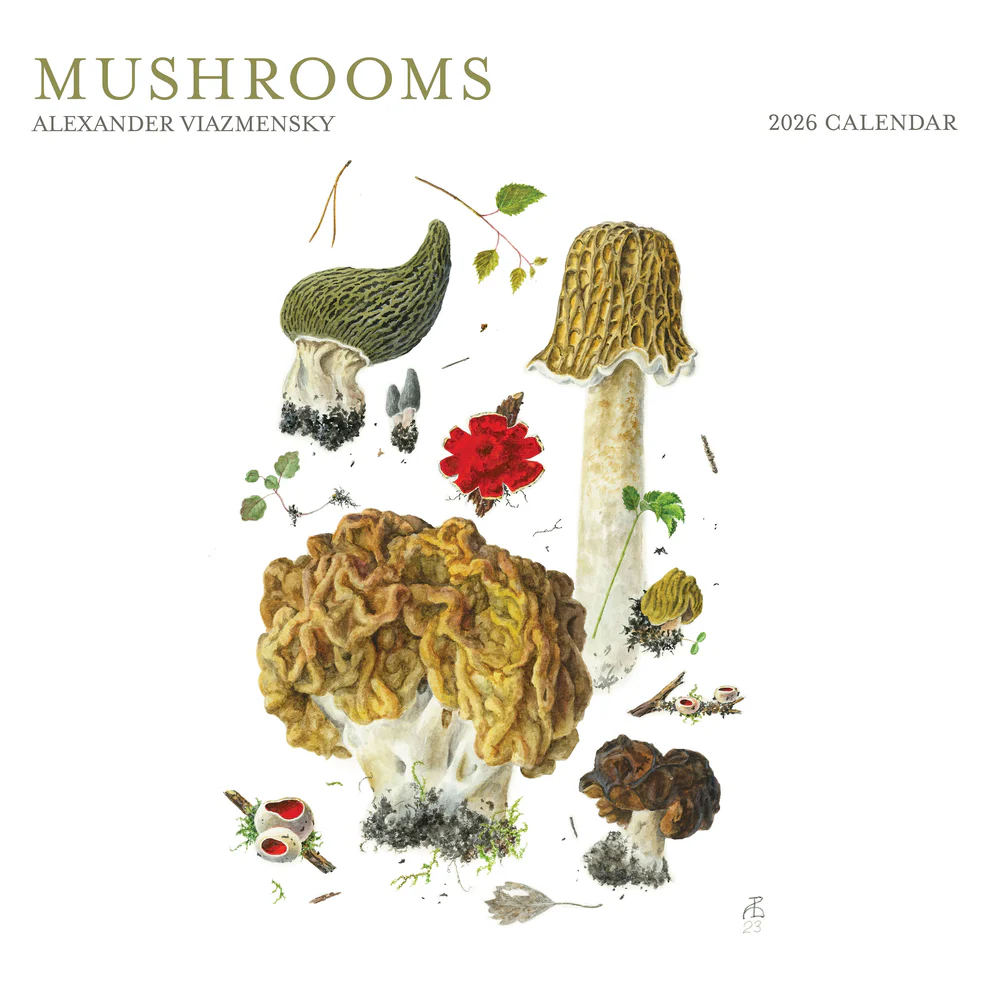 WALL CALENDAR 2026 -ALEXANDER VIAZMENSKY MUSHROOMS