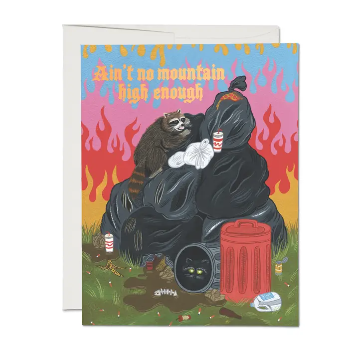 GREETING CARD - RACCOON FUN