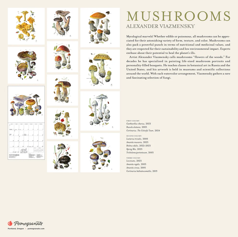 WALL CALENDAR 2026 -ALEXANDER VIAZMENSKY MUSHROOMS