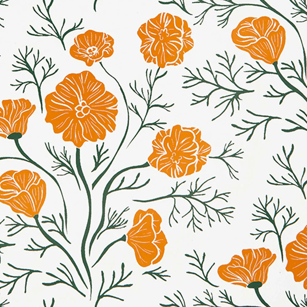 DECOMPOSITION BOOK TOPBOUND SPIRAL CALIFORNIA POPPIES