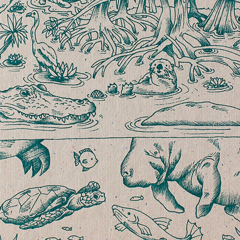 DECOMPOSITION BOOK TOPBOUND SPIRAL EVERGLADES