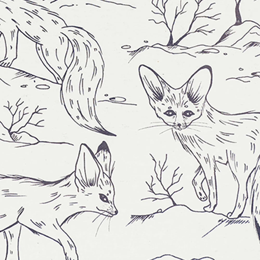 DECOMPOSITION BOOK SPIRAL FENNEC FOXES