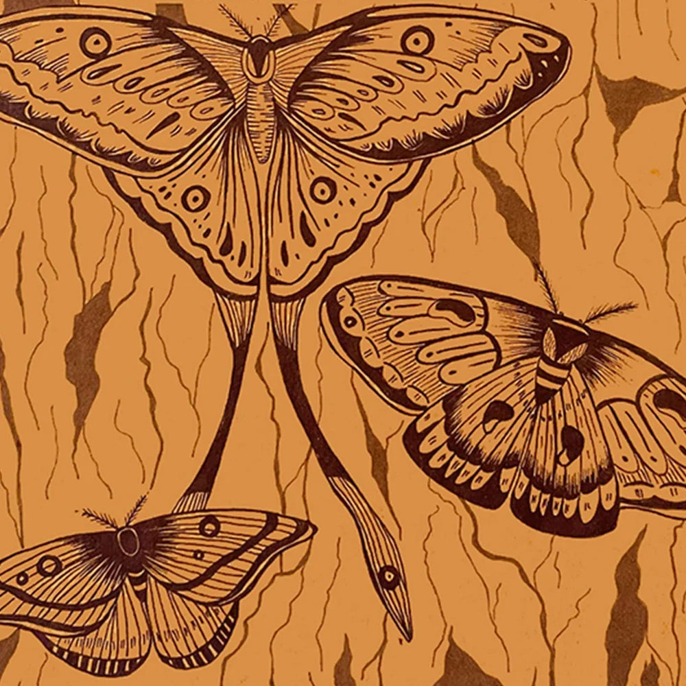 TOPBOUND DECOMPOSITION POCKET BOOK MIDNIGHT MOTHS