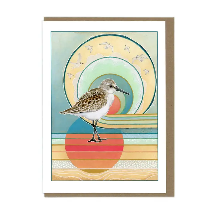 ILLUSTRATION CARD SANDPIPER