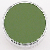 PANPASTEL ARTIST PASTEL  CHROMIUM OXIDE GREEN SHADE