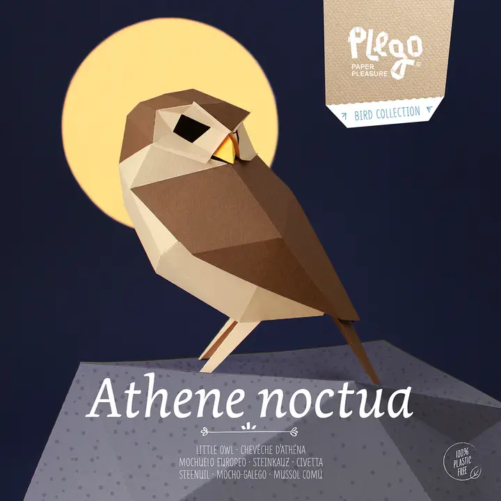 ATHENE NOCTUA PAPER FIGURE