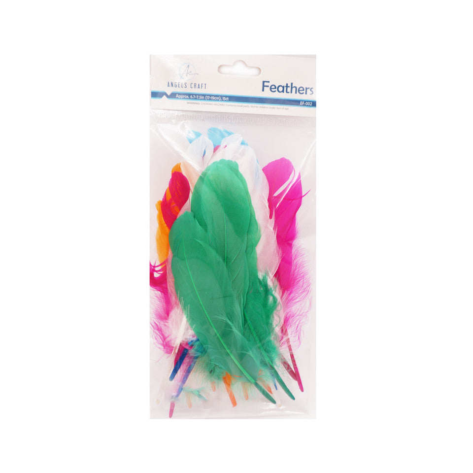 FEATHERS - 15PC ASSORTED COLORS 6.7" X 7.5"