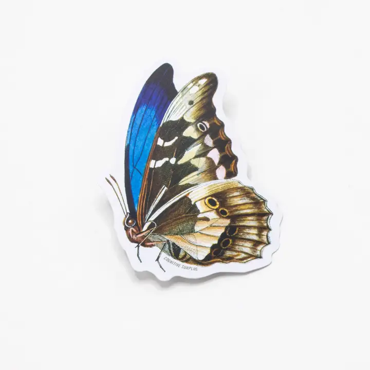 SCIENCE STICKER - BUTTERFLY
