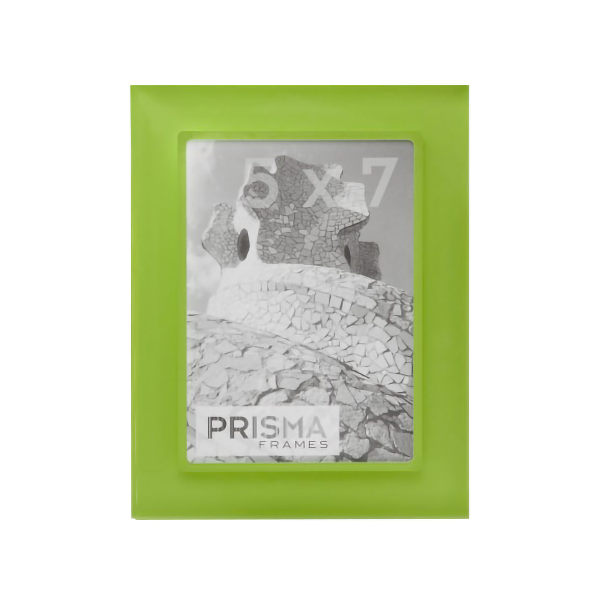 PREMIO FRAME 8x10 KERMIT 1.25&quot;