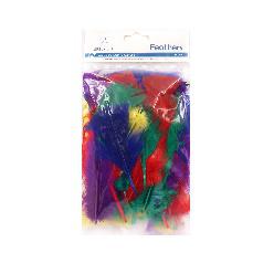 FEATHERS - 8G ASSORTED COLORS 5.12" X 7.48"