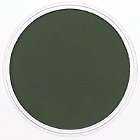 PANPASTEL ARTIST PASTEL  CHROMIUM GREEN EXTRA DARK
