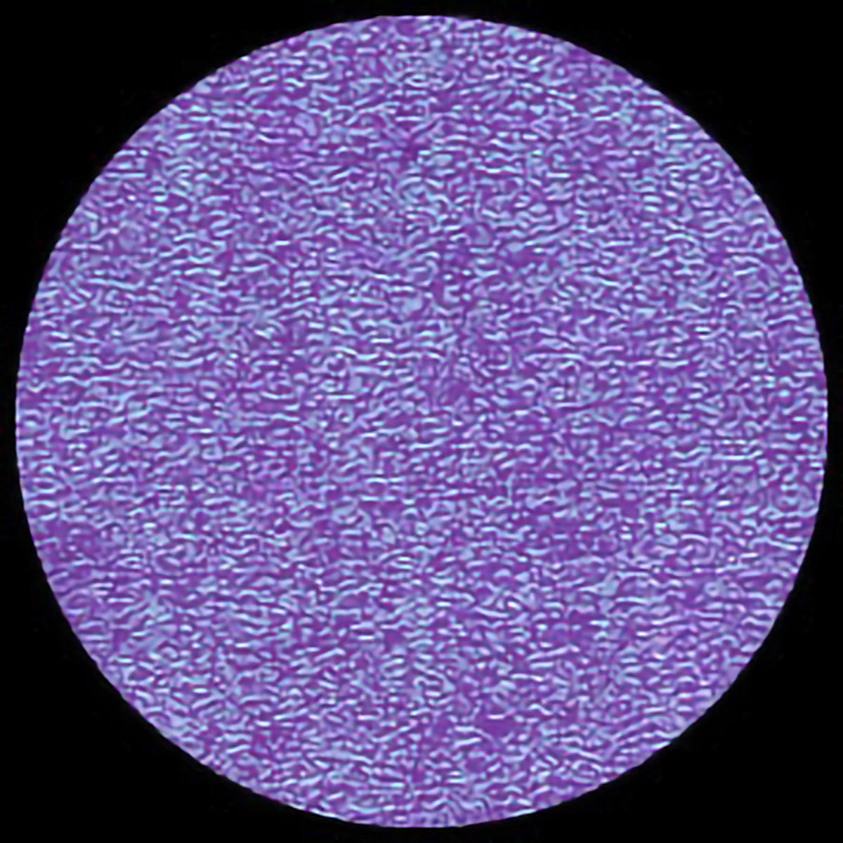 IRIDESCENT - PURPLE HAZE