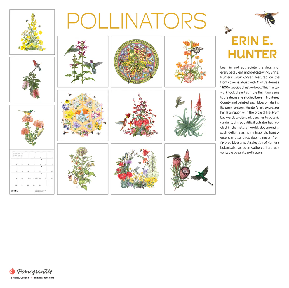 WALL CALENDAR 2026 - ERIN E. HUNTER POLLINATORS
