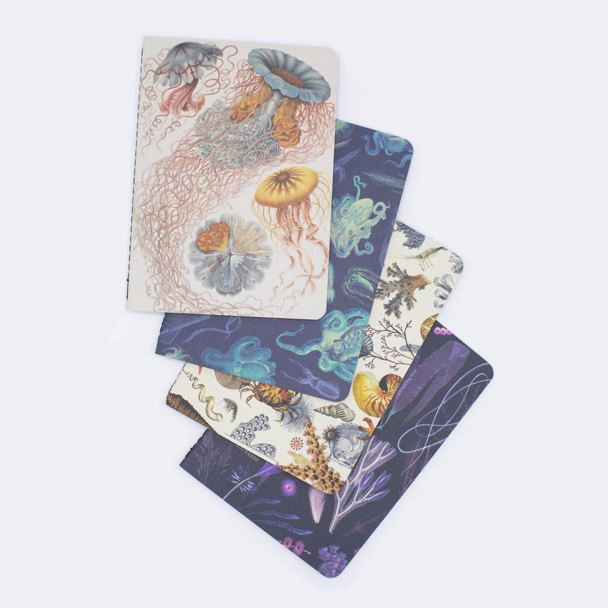 RESEARCH NOTEBOOK PACK OCEAN