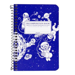 DECOMPOSITION BOOK 4X6 SPIRAL KITTENS SPACE