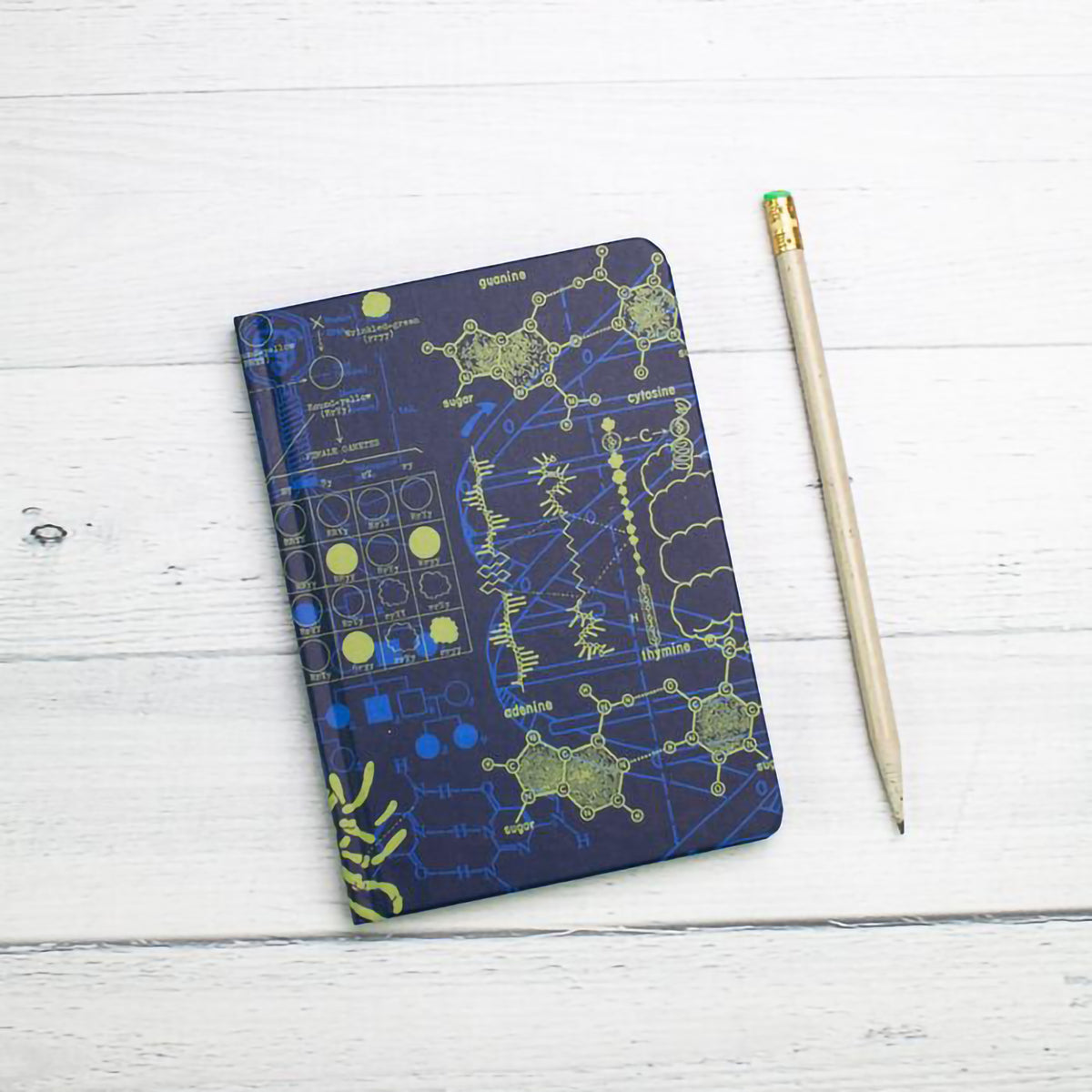 CASE STUDY MINI HARDCOVER DOT GRID GENETICS