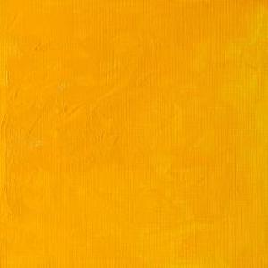 WINTON OIL COLOR 37ml CADMIUM YELLOW MEDIUM