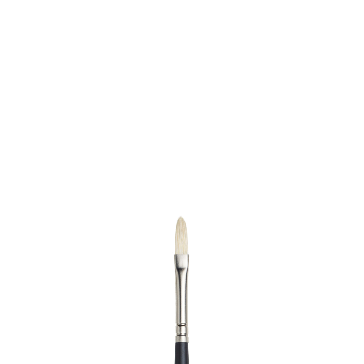 W&amp;N ARTISTS&#39; OIL BRUSH FILBERT 1