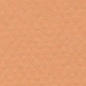 MI-TEINTES 8.5&quot;x11&quot; BUFF