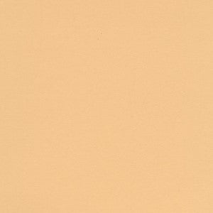 FOLIA ARTCARD 8.5X11 BEIGE
