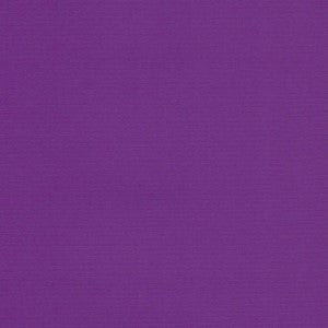 VICE VERSA 20X27.5 PURPLE