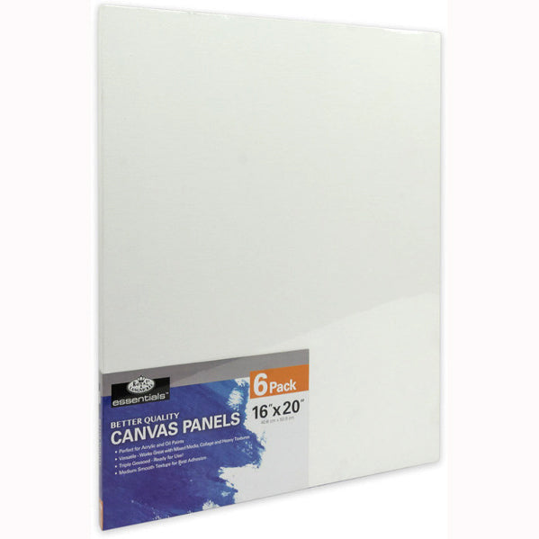 VALUE PACK/6 16X20  CANVAS PANELS