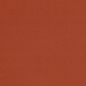 VICE VERSA 20X27.5 BURNT UMBER