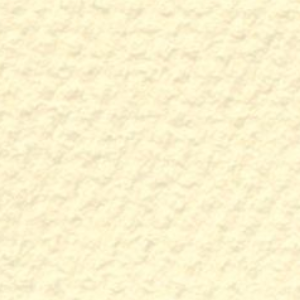 MI-TEINTES 8.5&#39;&#39;x11&#39;&#39;PALE YELLOW