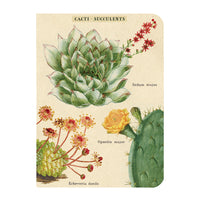MINI NOTEBOOKS SUCCULENTS SET/3