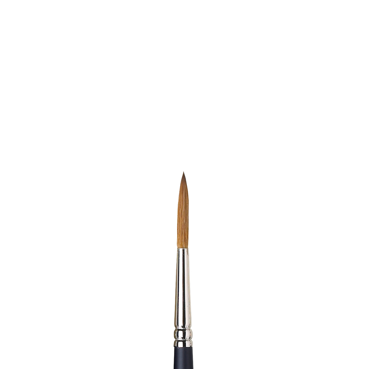 W&amp;N PROFESSIONAL WATERCOLOR SABLE BRUSH RIGGER 6