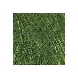 WILLIAMSBURG 37ml ITALIAN TERRE VERTE