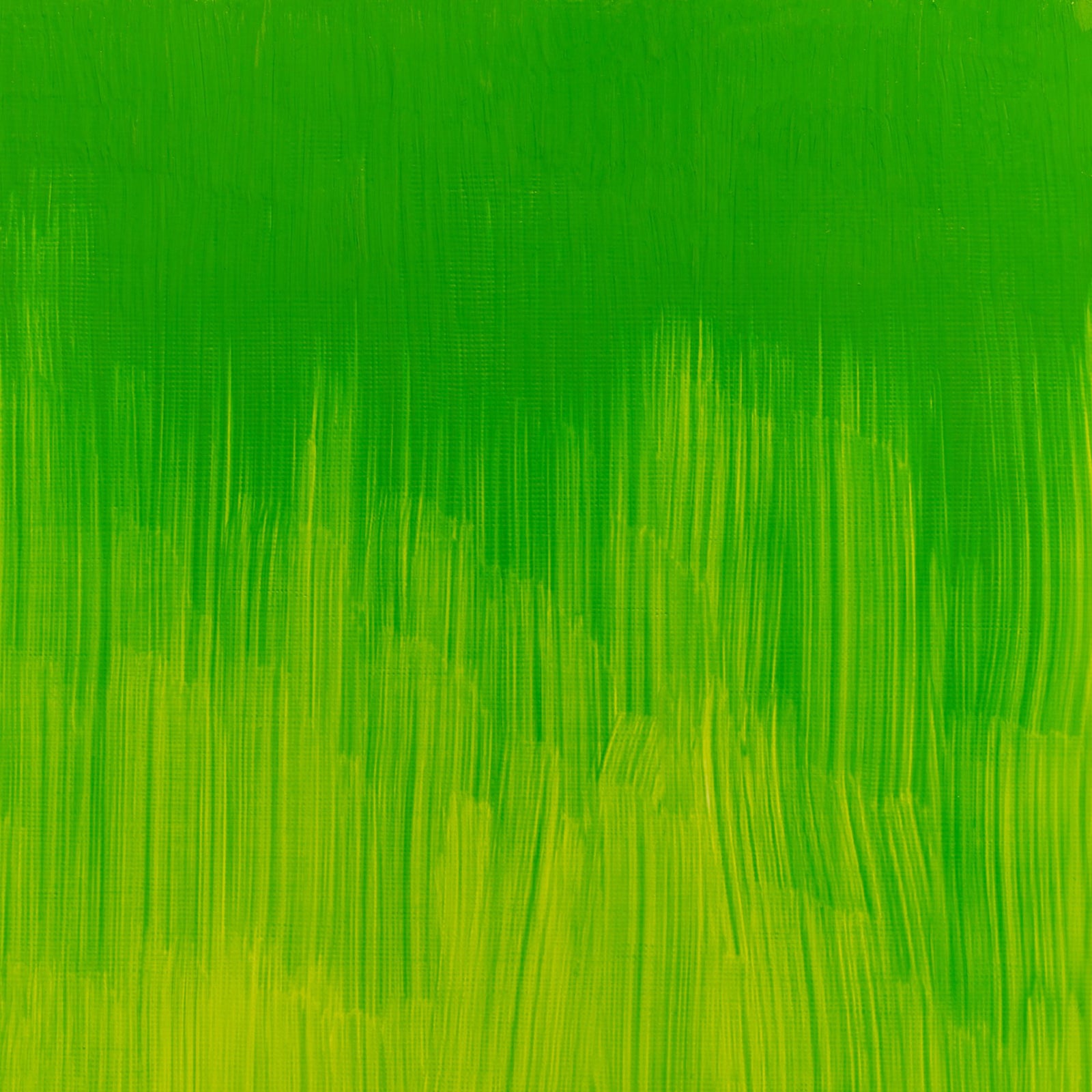 WINTON OIL COLOR 37ml PHTHALO YELLOW GREEN