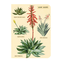 MINI NOTEBOOKS SUCCULENTS SET/3