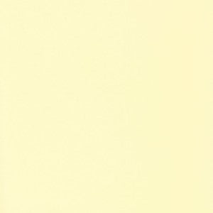 VICE VERSA 20X27.5 CREAM