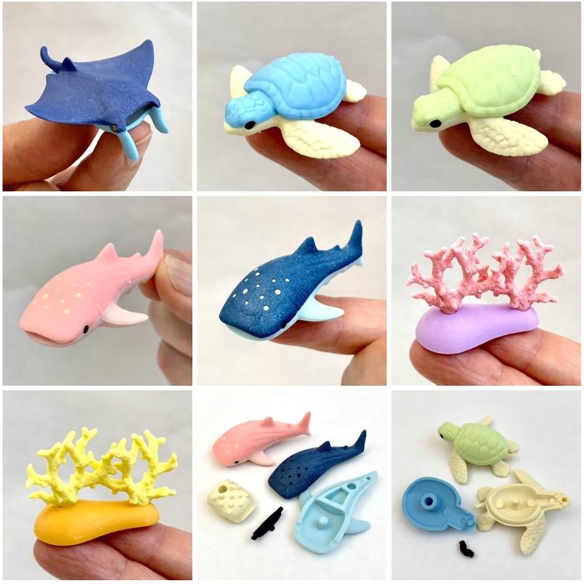 IWAKO AQUARIUM ERASER SET