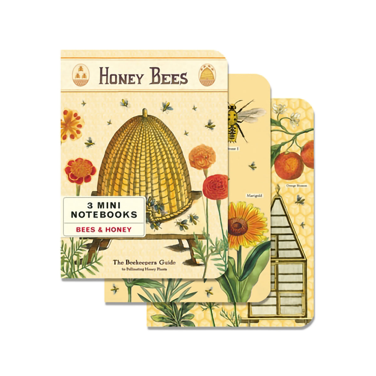 MINI NOTEBOOKS BEES &amp; HONEY SET/3